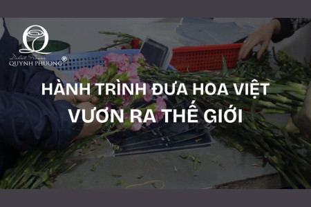 Quynh Phuong Da Lat: A Journey to Bring Vietnamese Flowers to the World