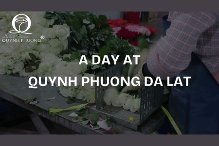A day at Quynh Phuong Da Lat