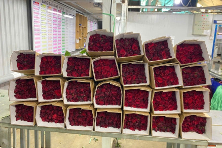Qixi Festival, the Oriental Valentine’s Day