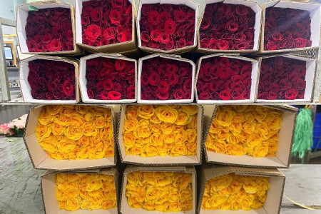 Celebrating Vietnam’s National Day – September 2nd