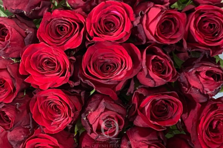 Congratulations on the Reunification Day (April 30) and International Workers' Day (May 1)
