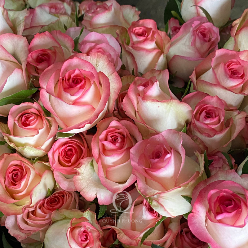 Flower Image