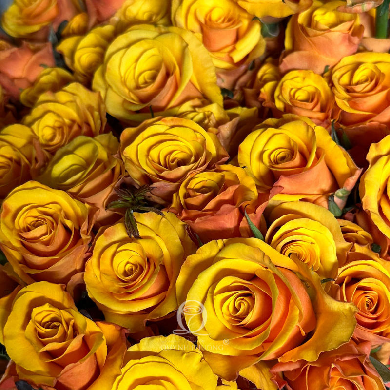Flower Image