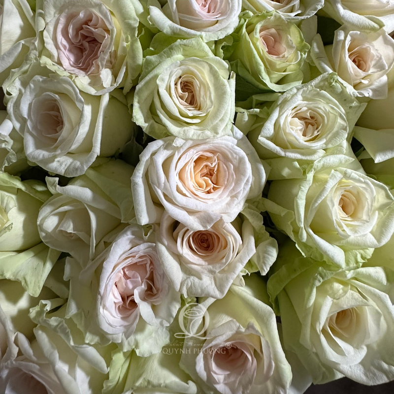 Flower Image