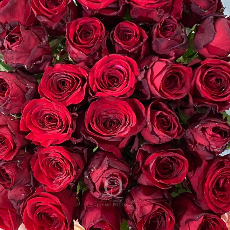 Flower Image