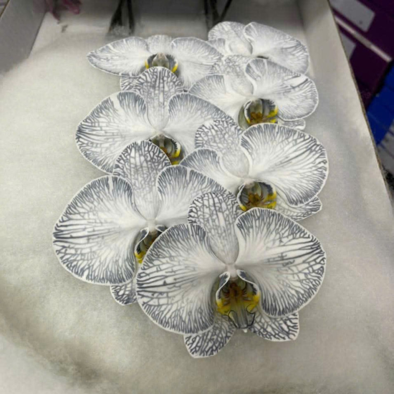 Flower Image