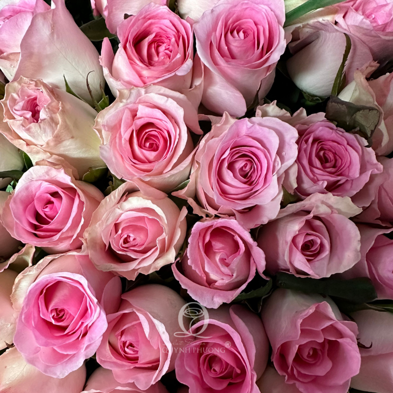 Flower Image