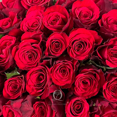 Flower Image