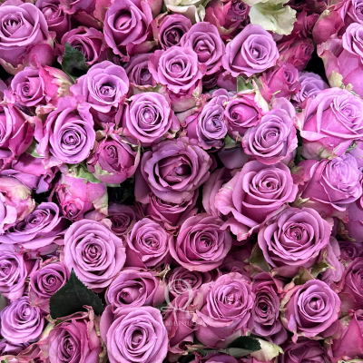 Flower Image
