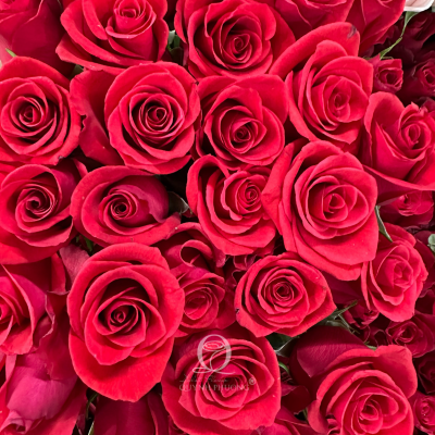 Flower Image