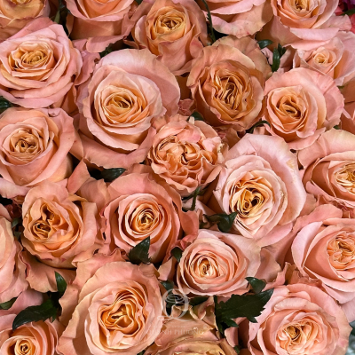 Flower Image