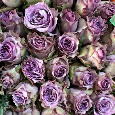 Flower Image