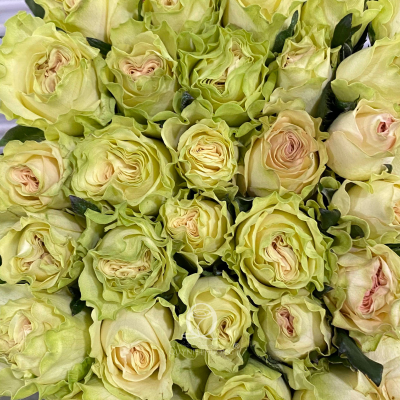 Flower Image