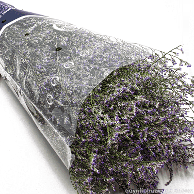 Limonium Purple