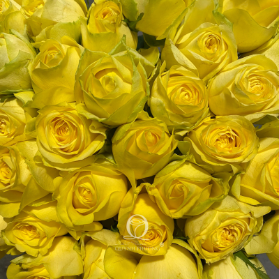 Flower Image