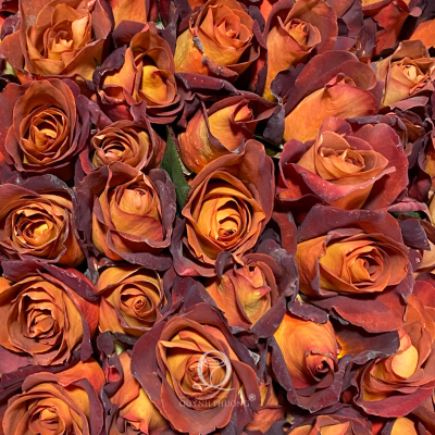 Flower Image