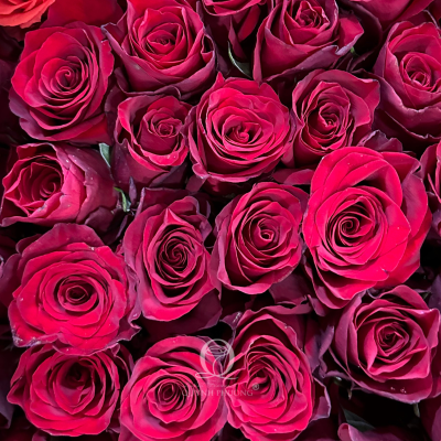 Flower Image