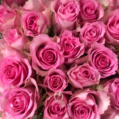 Flower Image