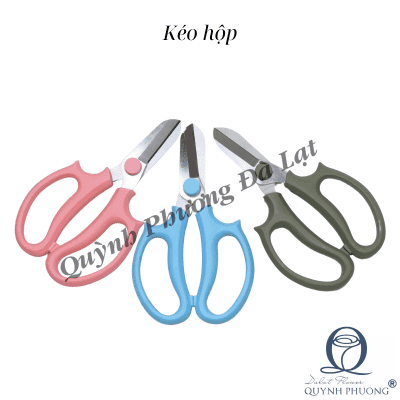 Box Scissors 