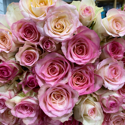 Flower Image