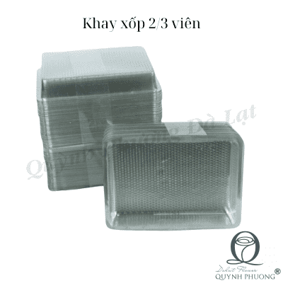 Styrofoam Tray 2/3 Pcs