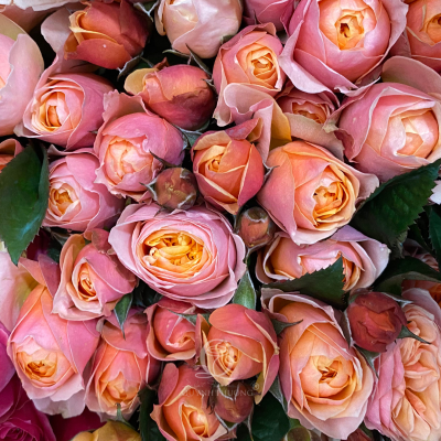 Flower Image