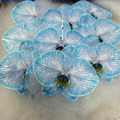 Flower Image