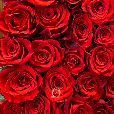 Flower Image