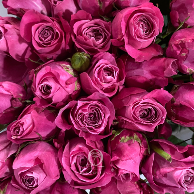 Flower Image