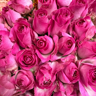 Flower Image