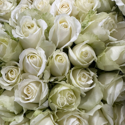 Flower Image