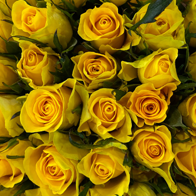 Flower Image