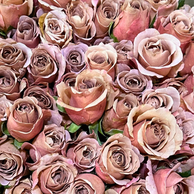 Flower Image