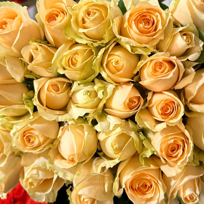 Flower Image