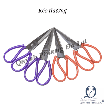 Normal Scissors