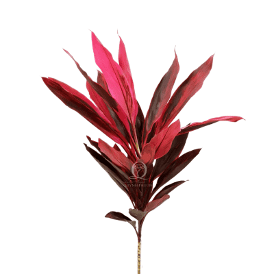 Ti Leaf Red