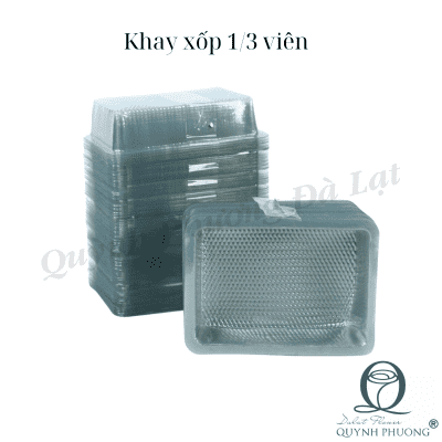 Foam Tray 1/3 Pcs