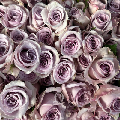 Flower Image