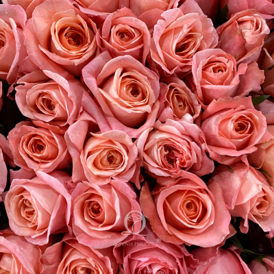 Flower Image