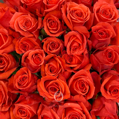 Flower Image