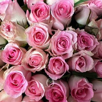Flower Image